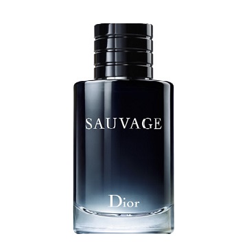 DIORクリスチャン ディオール ソヴァージュEDT 100ml